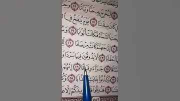 ماأجمل أن يبدأصباحك بذكر الله سورة النبأ تلاوة جميله 🌹🦋🌹🦋🌹🌹🌹🤍 #القرآن_الكريم #اكسبلور #المصحف #لايك