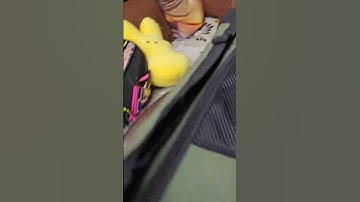 Draagbare reismand voor huisdieren