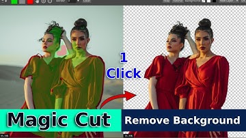 How to remove photo background in one click | Photopea magic cut