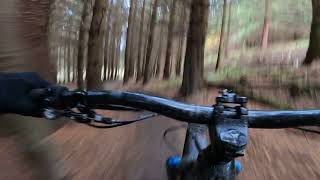 Magic Mushroom, Glentress Mountain Biking