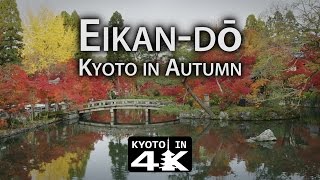 Beautiful Kyoto: Autumn 2016 Eikan-dō [4K]