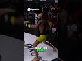 Epic KO! Chin Shot Wins Match!#fighting #mma #bareknuckleboxing #knockouts #knockout #mmafighter