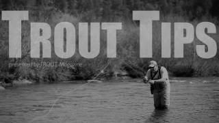 Trout Tips | False Cast #2