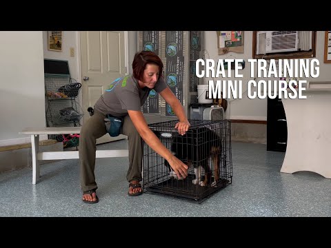 Crate Training Mini Course