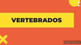 Nutrición Vertebrados