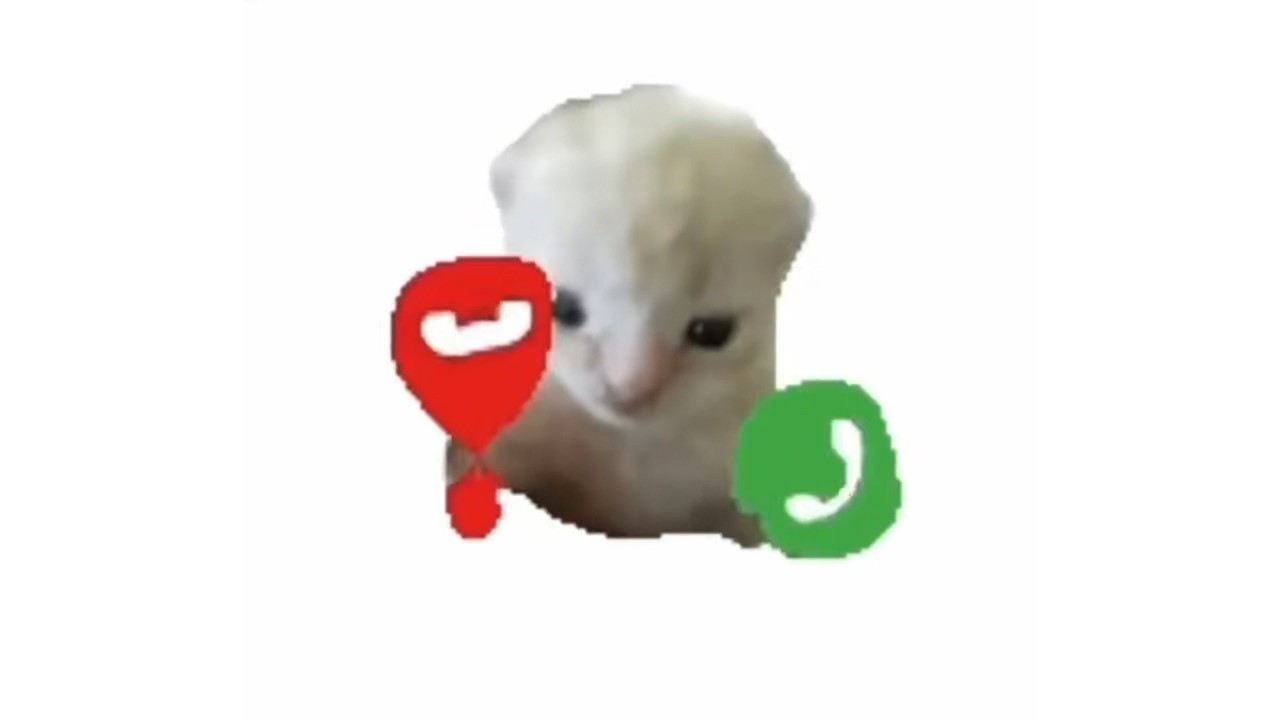 10 Hours of Call Cat