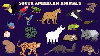 South American Animals in ENGLISH for Kids