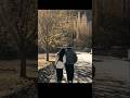 TUM JO AAYE (ʘᴗʘ✿)~ Rahat Fateh Ali Khan| #lovesong #trending