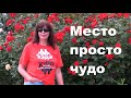 Недалеко от Анапы есть элитное место по цене эконома. Честный обзор