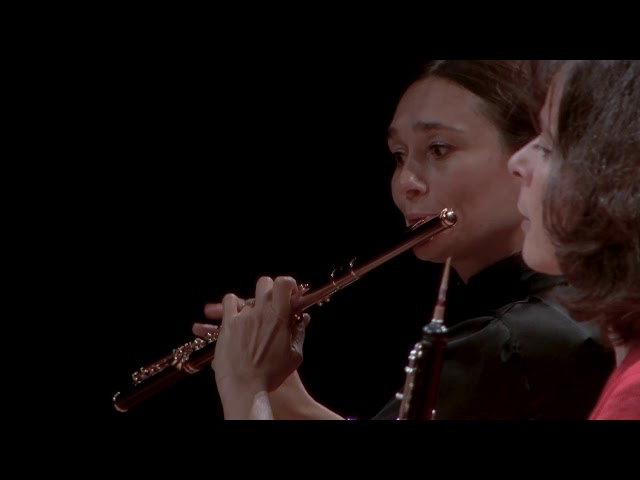 Ries - Sextuor pour harpe, piano, clar, bas, cor & contreb: Finale : Ensemble Franz