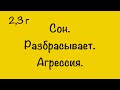 СОН. РАЗБРАСЫВАЕТ. АГРЕССИЯ