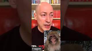 Галкин может сменить Путина?! 😂 😂 😂 Shorts 372 МУЛЬТПАРАД COMEDY. Смешные видео. Новости, прикольно