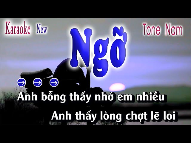 Karaoke Ngỡ Tone Nam Beat Chuẩn | song nhien karaoke class=