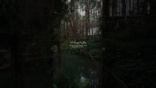 Mashaer  Nadine Tasyeer capcut mashaer nadinetasyeer fyp viral shorts arabicsong