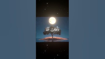 #سورة_الأحزاب |القارئ:#محمد_اللحيدان ||#quran #المصحف #القرآن_الكريم #تلاوة_خاشعة #تلاوة_هادئة