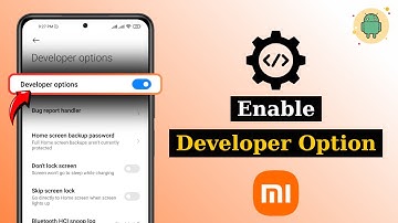 How To Enable Developer Option In Xiaomi Redmi Phones (Easy Guide)