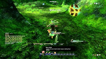 FFXIV: 1.0 Pugilist testing [HD]