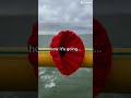 Poppies on the Pier - how it started, how it's going