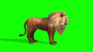 Lion on a green background | Лев на зеленом фоне