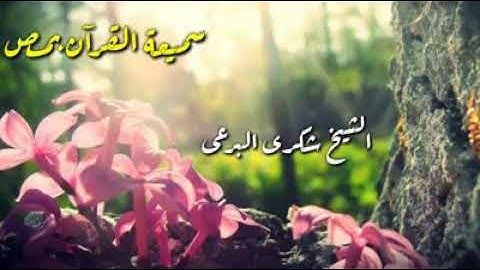 حتى إذا أتوا على وادي النمل.... تلاوة رائعة للشيخ شكري البرعي