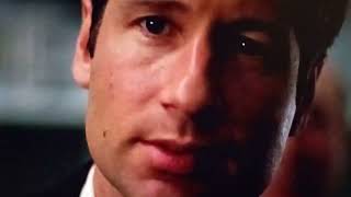Akte X/X-Files - Folie A Deux, 1998