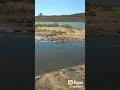 Primeiro passeio da Princesa no Lago da Fé em Hortolândia