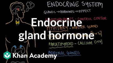 Endocrine gland hormone review | Endocrine system physiology | NCLEX-RN | Khan Academy