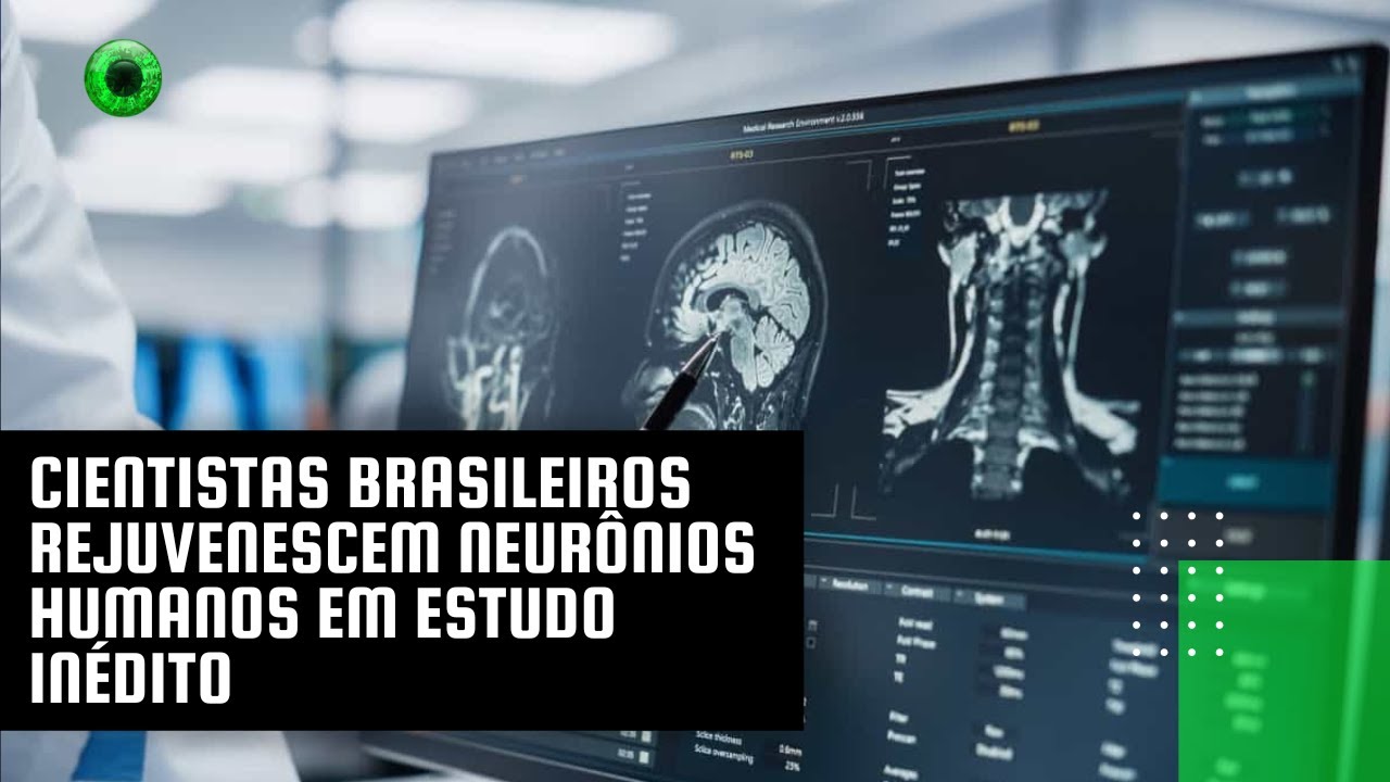 Cientistas brasileiros rejuvenescem neurônios humanos em estudo inédito