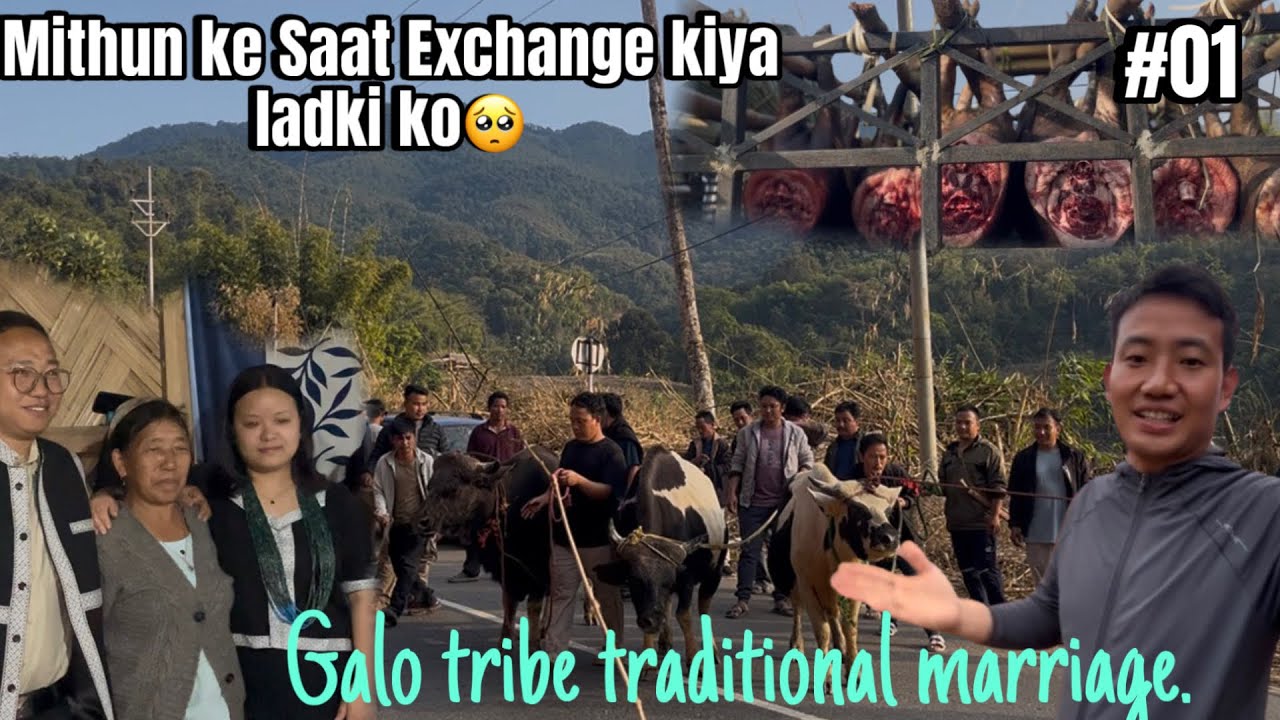 GALO Tribe Marriage | Why Mithuns are Essential for a Galo Wedding |Arunachal Pradesh 🇮🇳