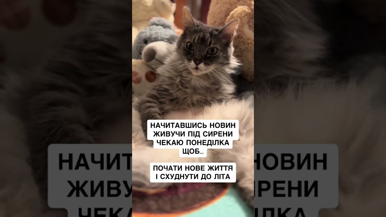 З понеділка