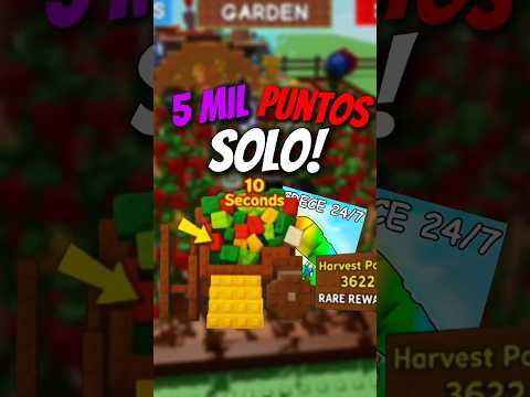 Como CONSEGUIR 5mil