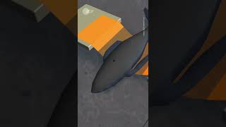 So soll der Wal gerettet werden #short #shorts #shortvideo
