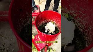 Chaff silage crusher simple device#fcnfm #farmmachine