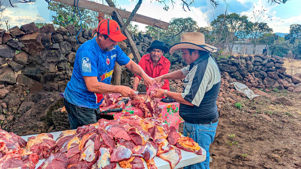 Sabrosa la vida en el Rancho | preparando Barbacoa parte 1