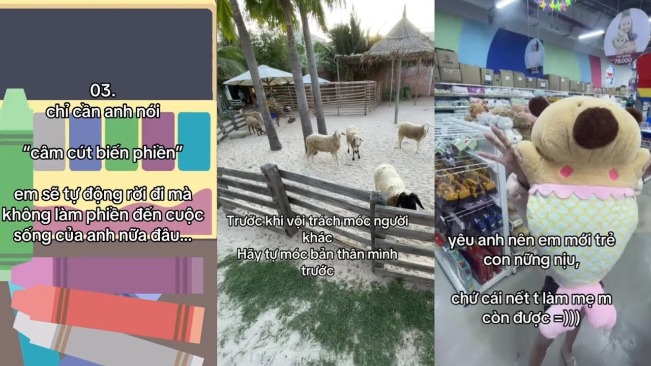 • Tổng hợp | tâm trạng, nhẹ nhàng || music and caption || Fish ☃️