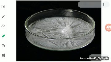 ClassIX Science 14 05 2020 by Ms Mridulata Upadhyay