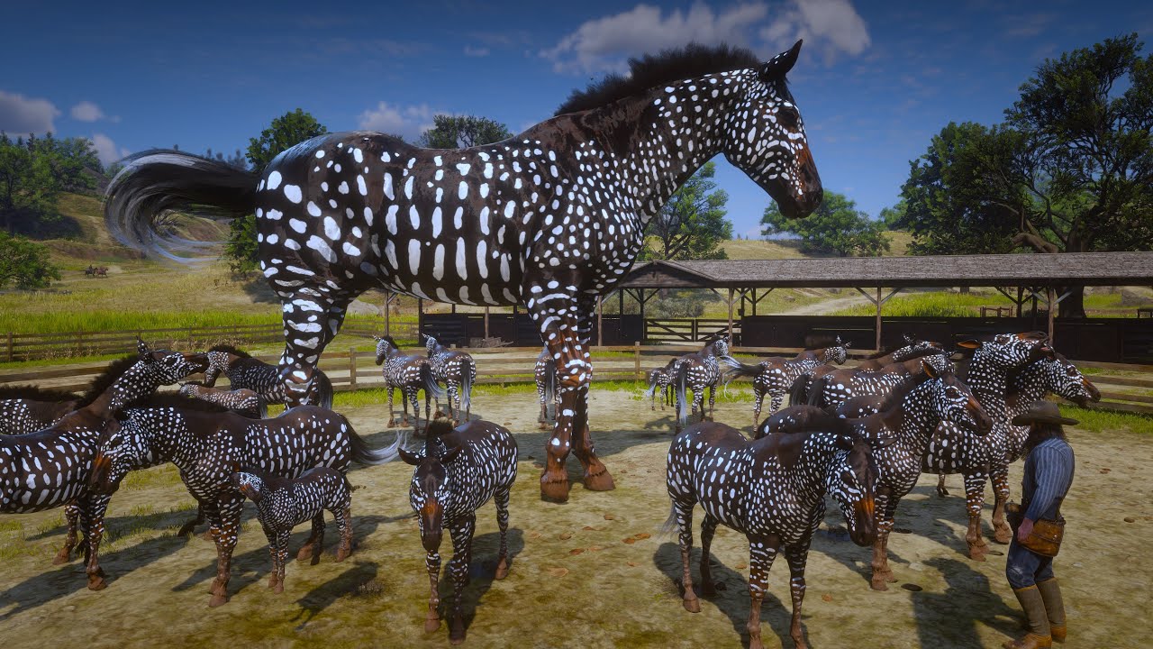 Rdr 2 | John Marston Tames Rarest New Tira Polka Dots Zebra at ...