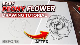🌸 Easy Peony Flower Drawing Tutorial | From Simple Shapes to Beautiful Art! ✏️🎨