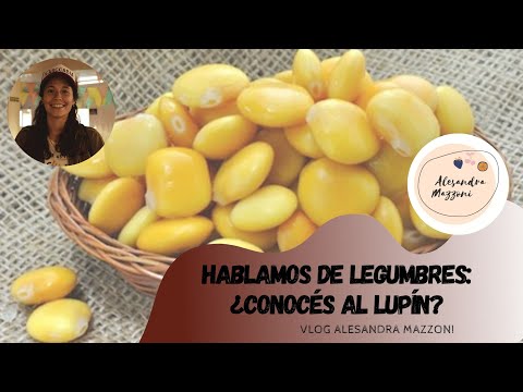 Video: ¿Para qué sirve el lupino?