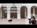 Iconic London Soul Dog Photoshoot - Seeing a dream become a reality