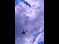 Самолеты над Симферополем