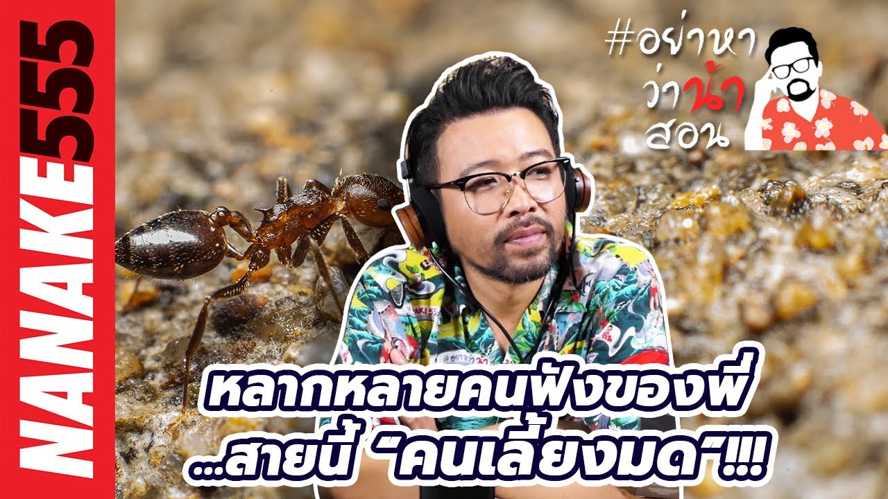 หลากหลายคนฟังของพี่...สายนี้ “คนเลี้ยงมด”!!! | #อย่าหาว่าน้าสอน