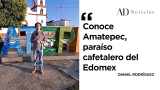 Conoce Amatepec, paraíso cafetalero del Edomex