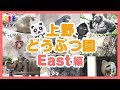 上野動物園の動画🐾東園編🐻クマ🐘ゾウ🐹トラ🐼パンダなど🐾Ueno Zoo