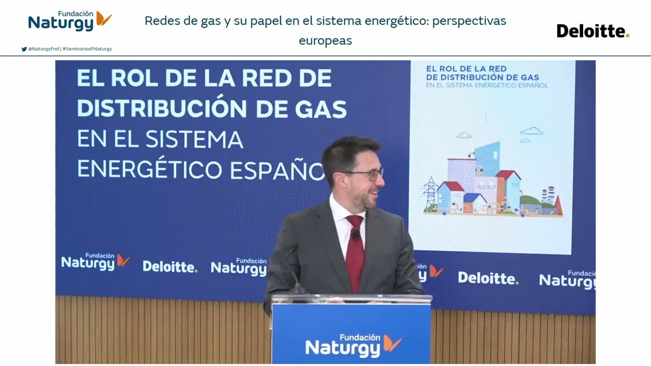 Webinar «Redes de gas y su papel en el sistema energético: el caso español y perspectivas europeas»