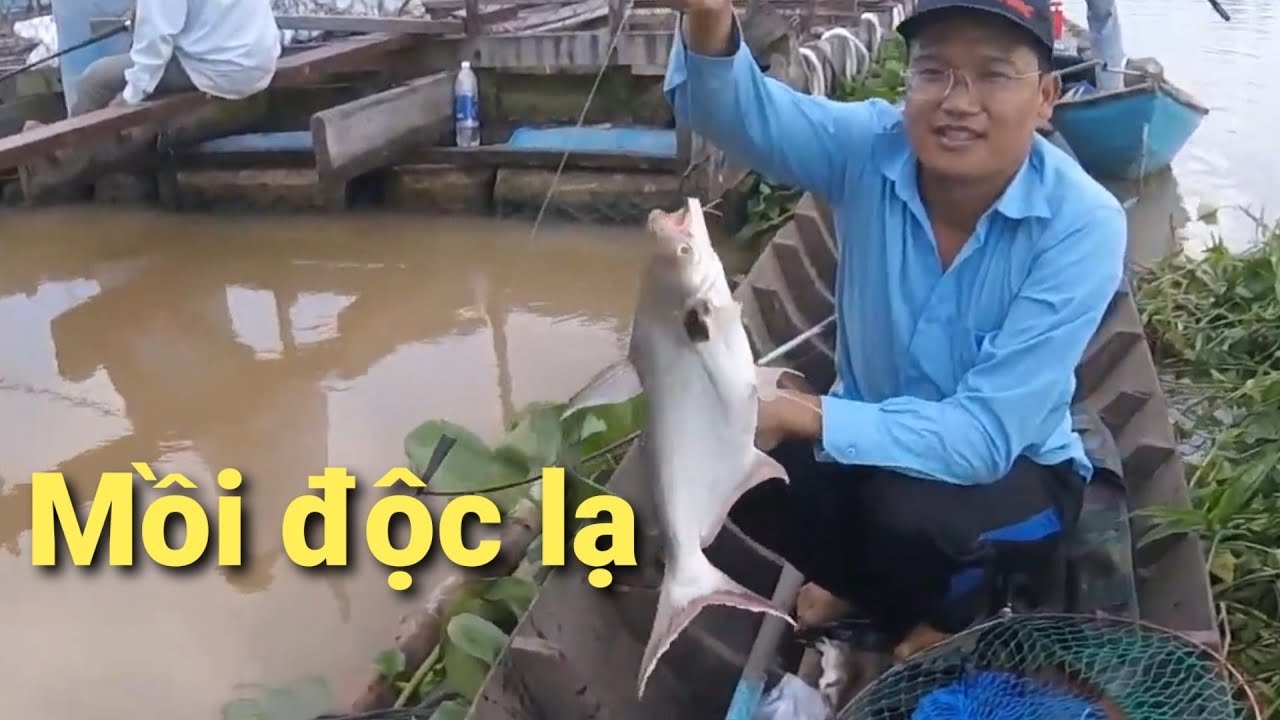 Câu cá dồ đém #3. Mồi siêu độc, lạ, bao dính