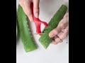 HOMEMADE ALOE GEL- SHELF LIFE 6-7 MONTHS 