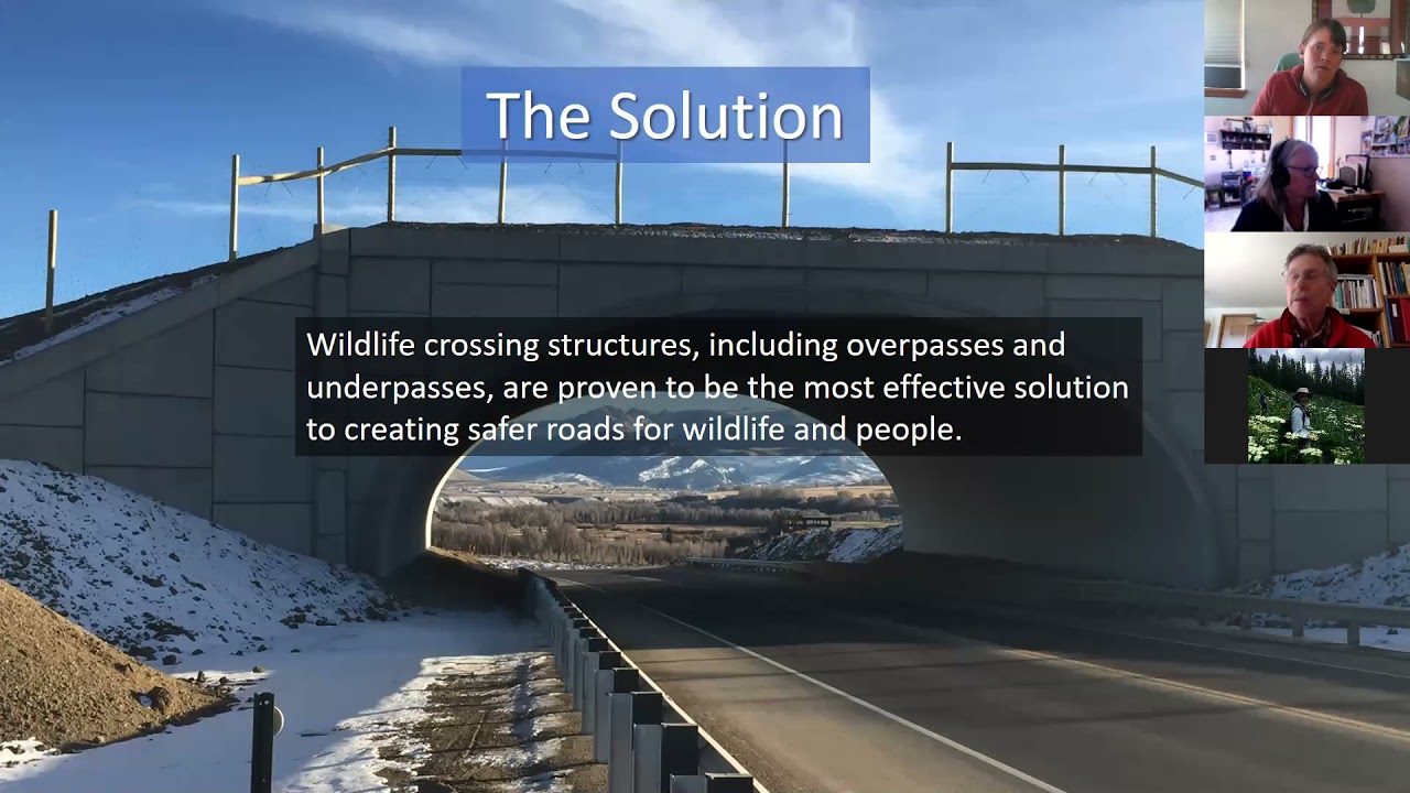 SRCA Wildlife Corridors Break Out Session