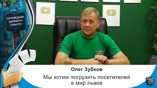 «Мы хотим погрузить посетителей в мир львов» - интервью с Олегом Зубковым