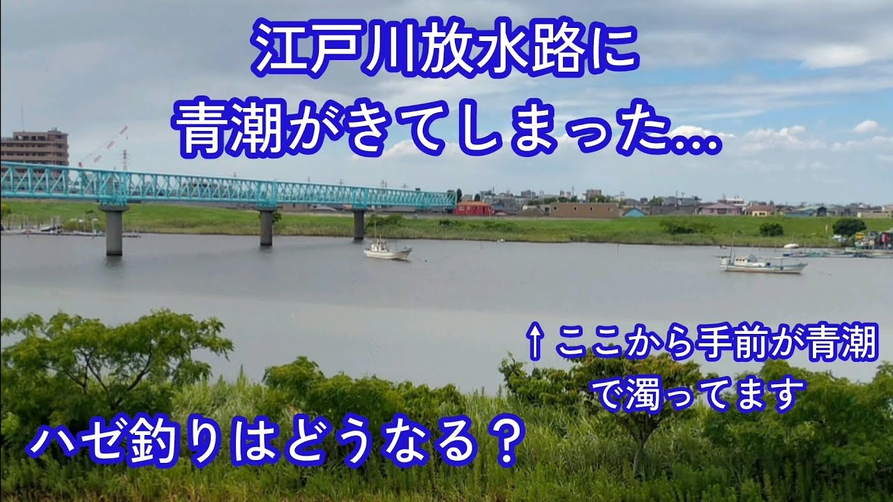 ambiguous contiguous exiguous 江戸川